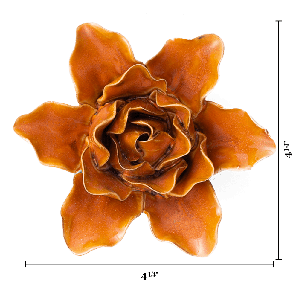 FR13 Burnt Orange Stargazer Lily - Chive US Wholesale