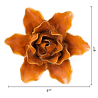 FR13 Burnt Orange Stargazer Lily - Chive US Wholesale