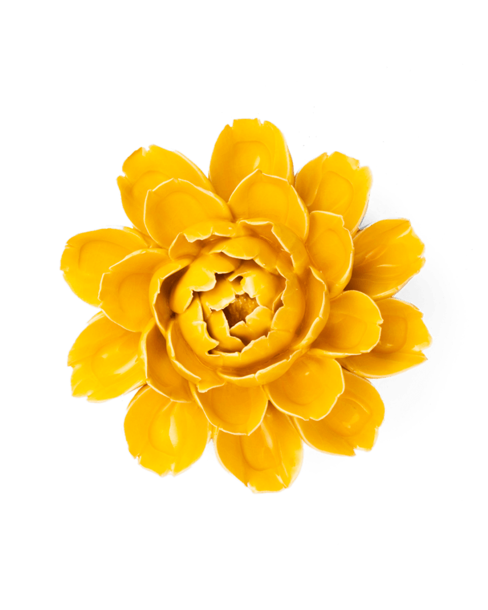 FR14 Burnt Yellow Empire Cabbage Flower - Chive US Wholesale