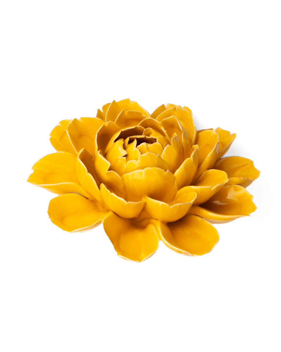 FR14 Burnt Yellow Empire Cabbage Flower - Chive US Wholesale