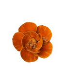 August Birth Flower - Poppy - Chive US Wholesale