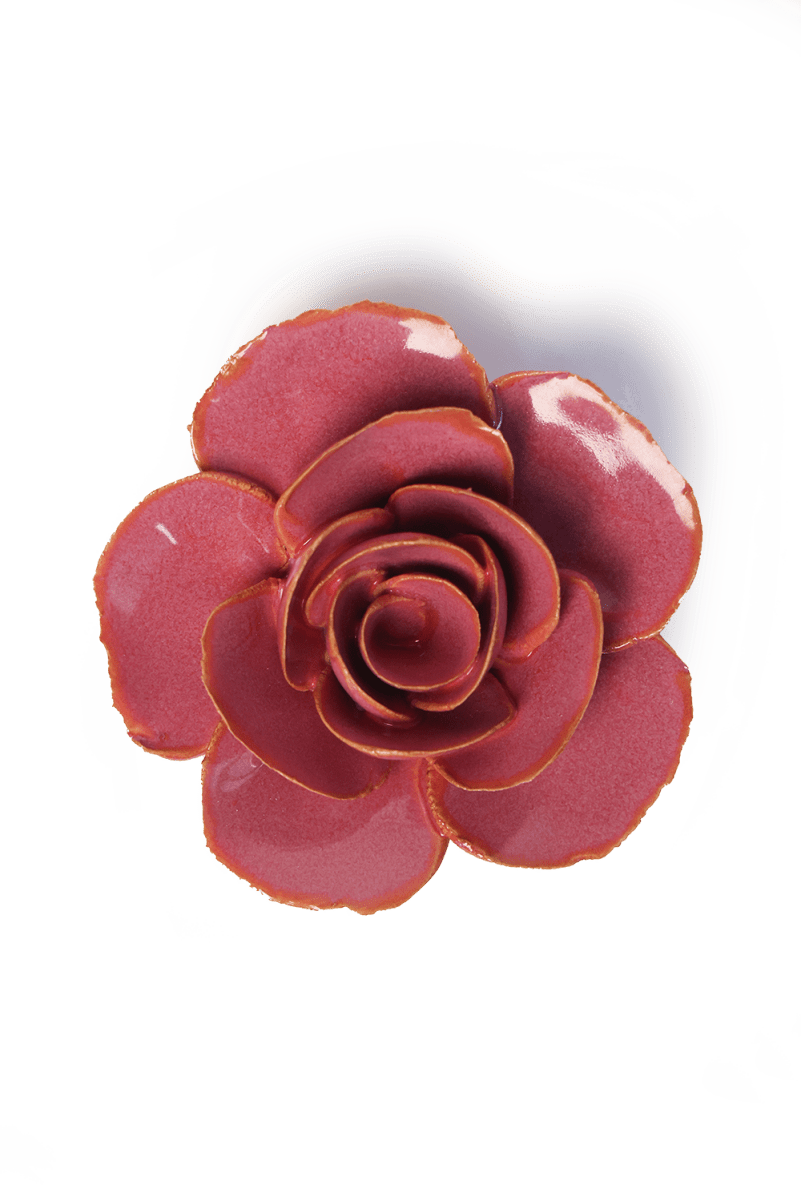 FR15 Blush Pink Elegance Ranunculus - Chive US Wholesale