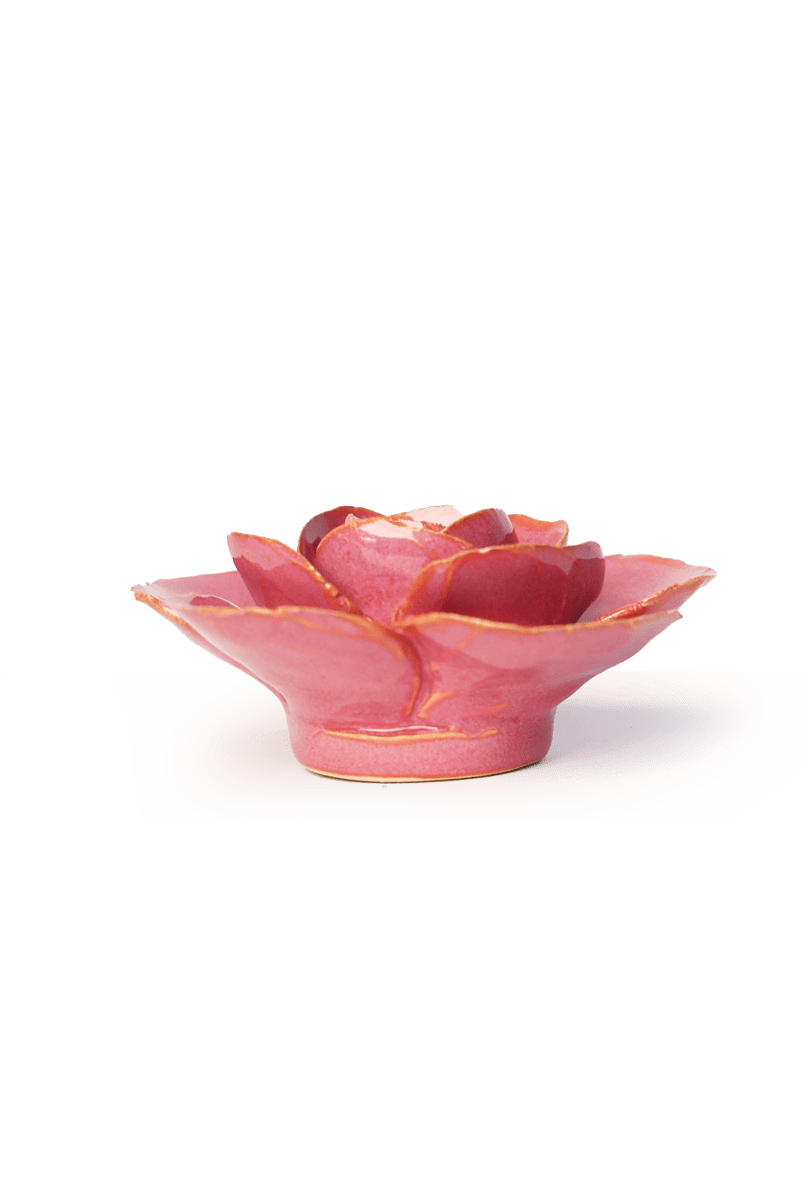 FR15 Blush Pink Elegance Ranunculus - Chive US Wholesale