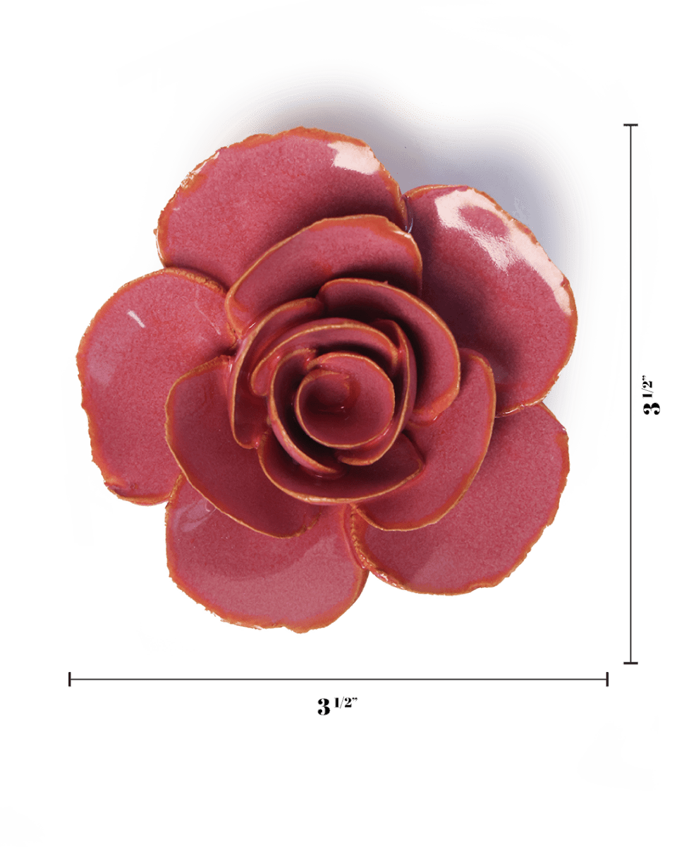 FR15 Blush Pink Elegance Ranunculus - Chive US Wholesale