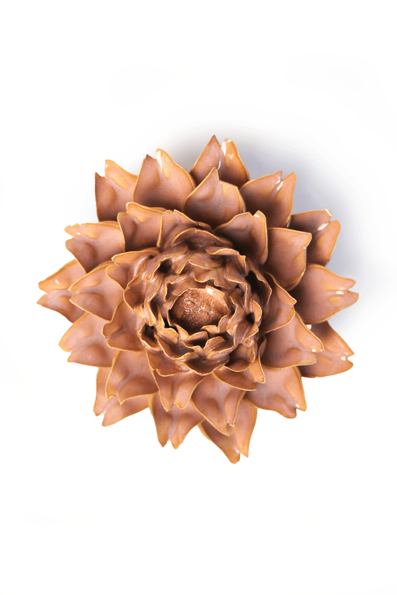 FR17 Rose Pink King Protea - Chive US Wholesale