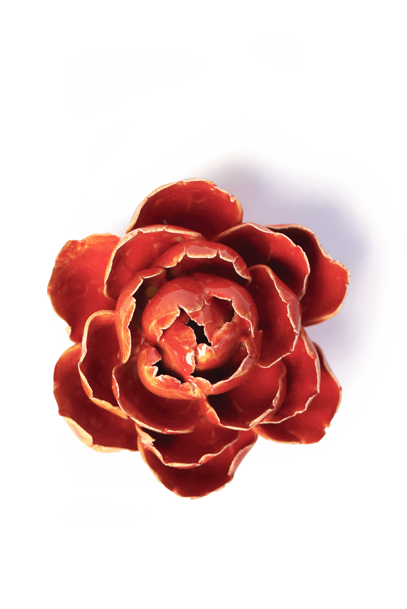 FR18 Orange Yellow Gay Paree Peony - Chive US Wholesale