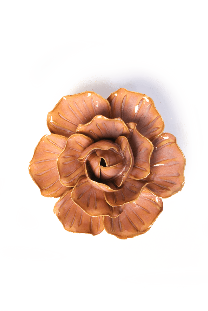 FR20 Peach Pink Solar Carnation - Chive US Wholesale