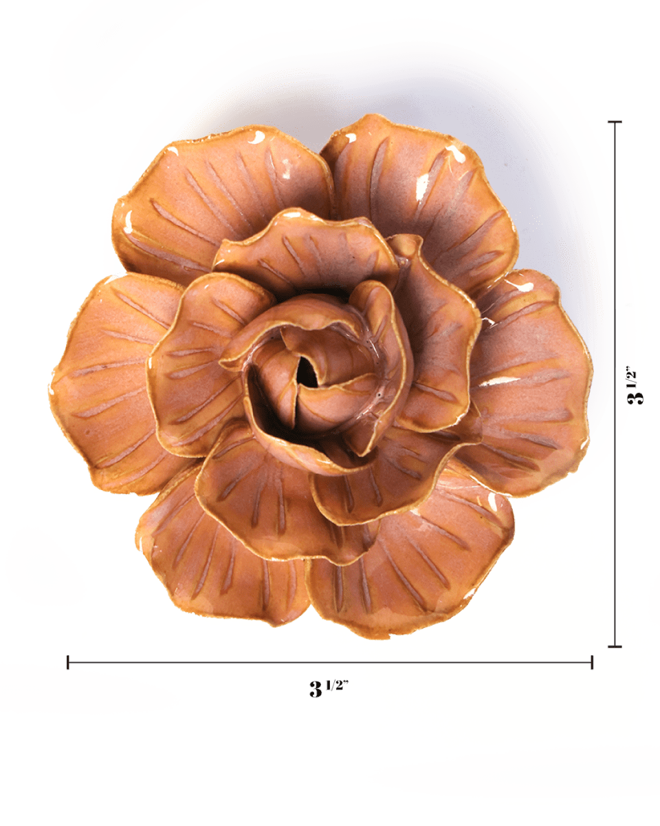 FR20 Peach Pink Solar Carnation - Chive US Wholesale