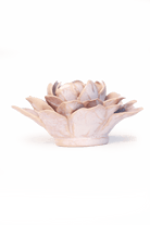 FR21 Pink Sand Starbrite Water Lily - Chive US Wholesale