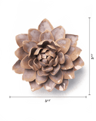 July Birth Flower - Waterlily - Chive US Wholesale