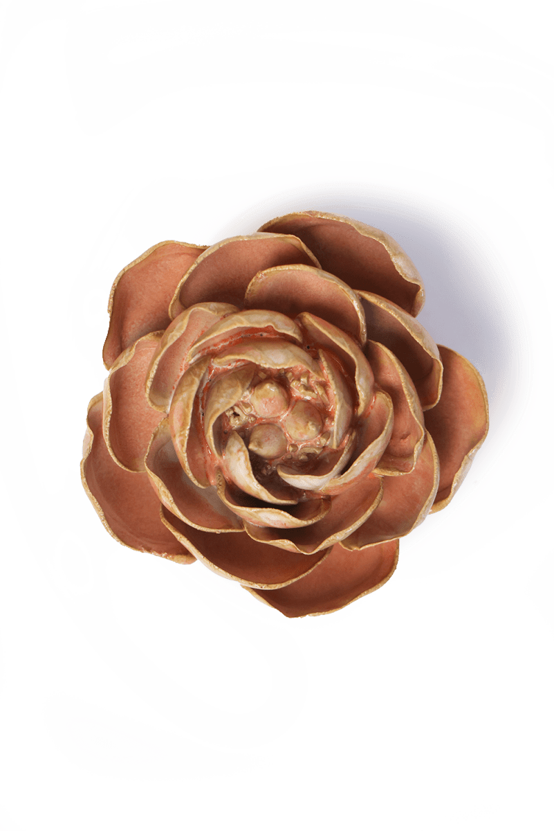 FR22 Peach Pink Big Ben Peony - Chive US Wholesale