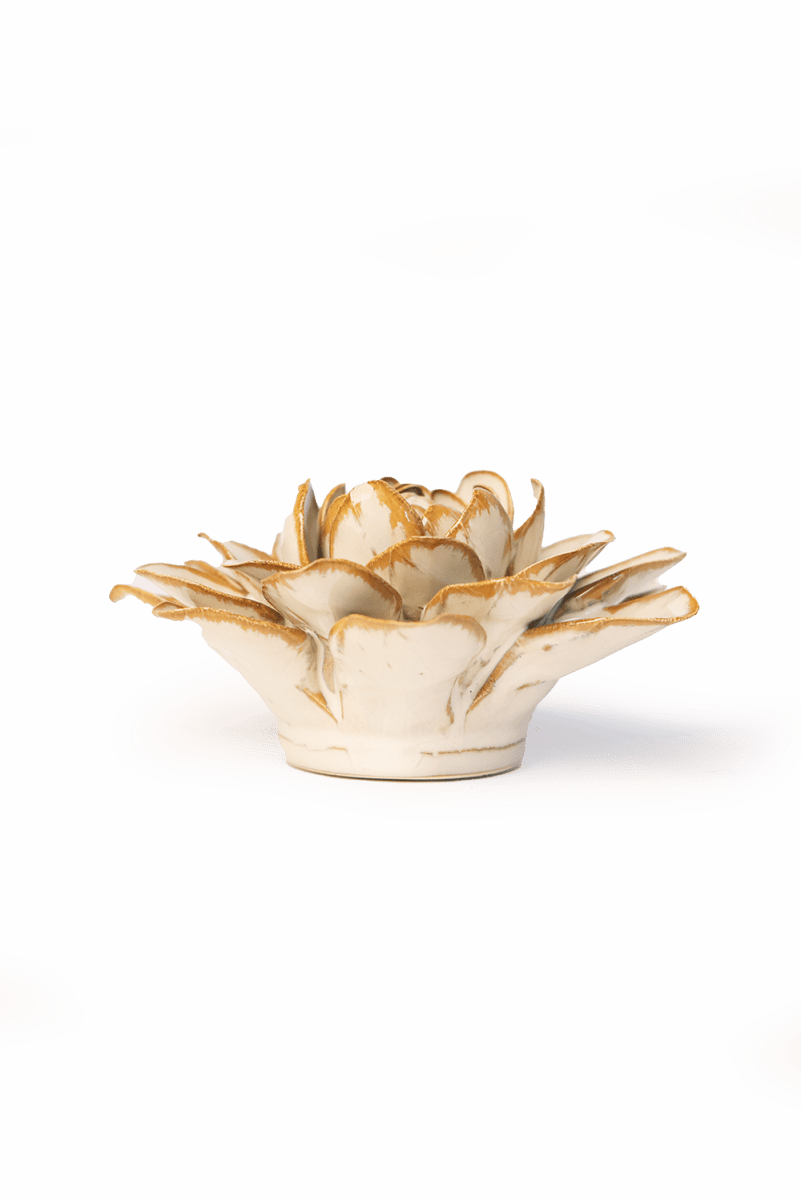 FR23 Oatmeal Starbrite Water Lily - Chive US Wholesale