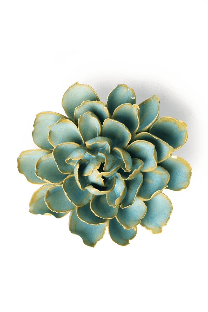 FR25 Robin's Egg Blue French Marigold - Chive US Wholesale