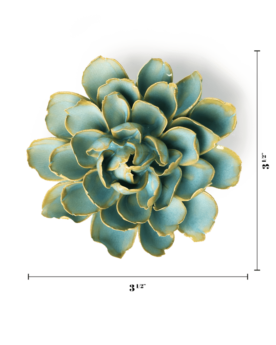 FR25 Robin's Egg Blue French Marigold - Chive US Wholesale