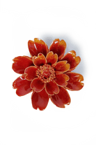 FR29 Orange Yellow Paris Daisy - Chive US Wholesale