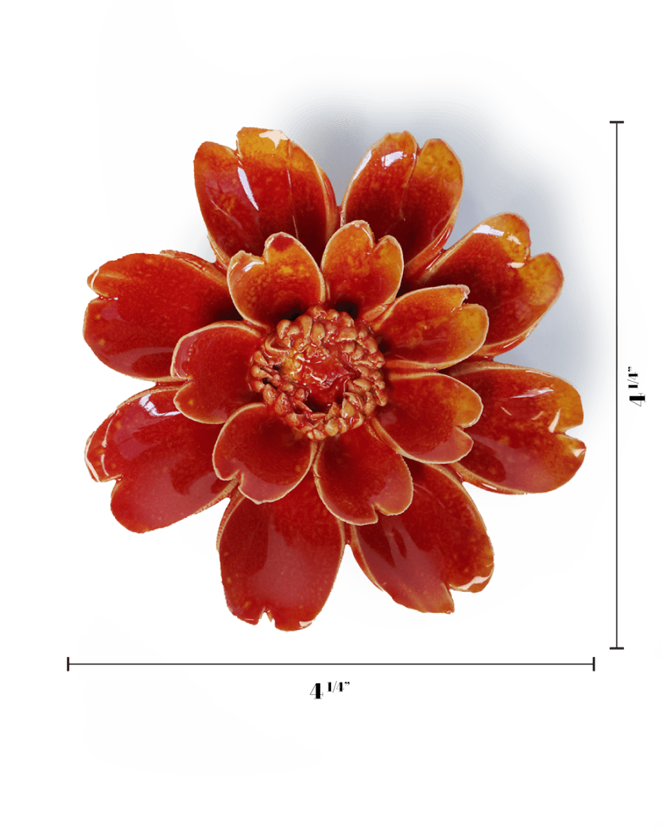 FR29 Orange Yellow Paris Daisy - Chive US Wholesale