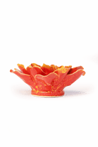 FR31 Orange Yellow Coreopsis - Chive US Wholesale