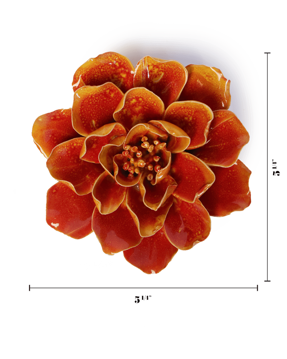 FR31 Orange Yellow Coreopsis - Chive US Wholesale