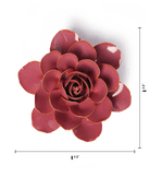 FR32 Blush Pink Begonia - Chive US Wholesale