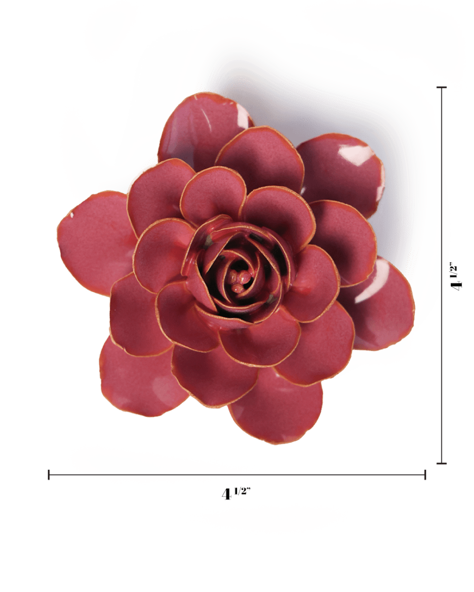 FR32 Blush Pink Begonia - Chive US Wholesale