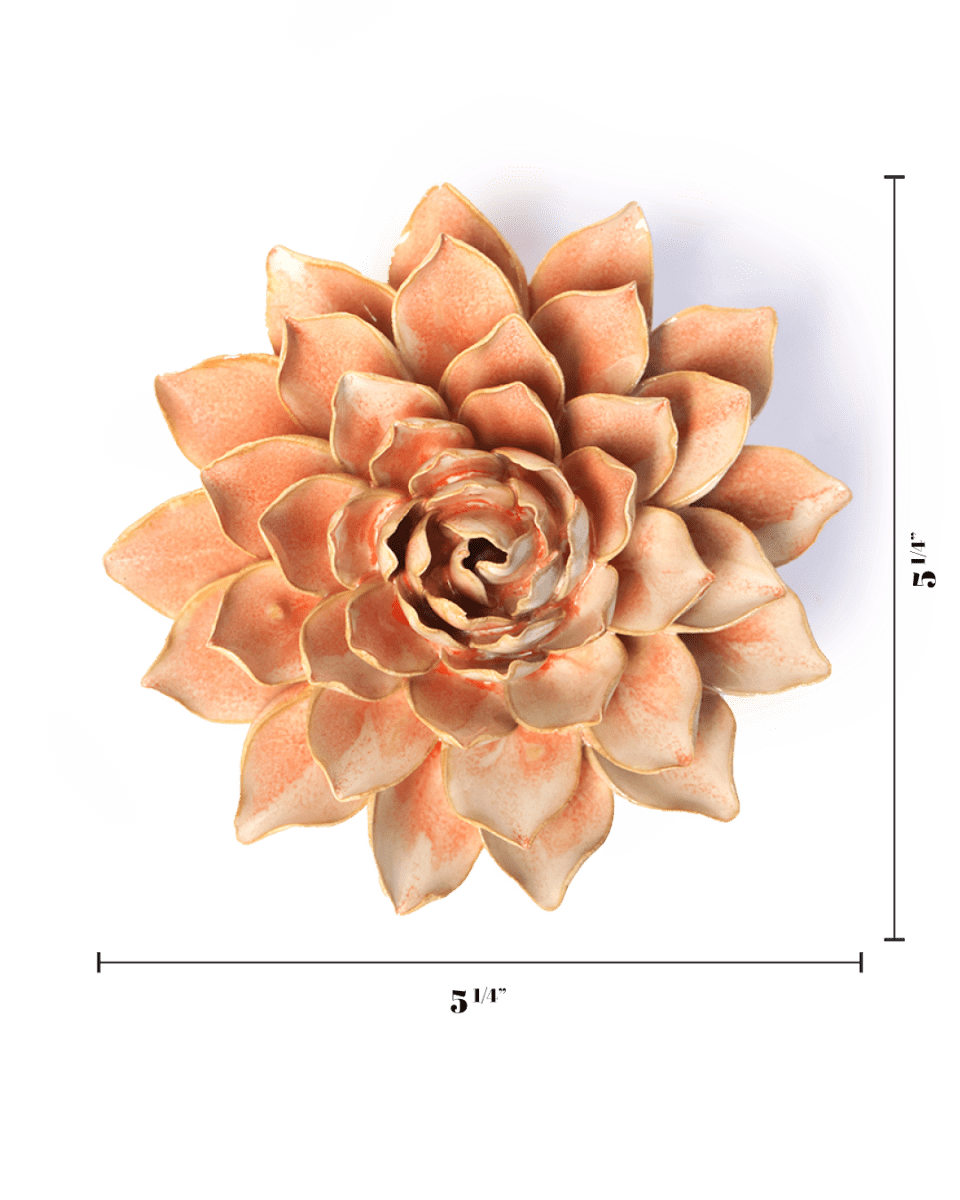 FR33 Peach Pink Madonna Azalea - Chive US Wholesale