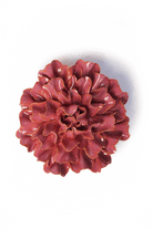 FR36 Blush Pink Tundra Carnation - Chive US Wholesale