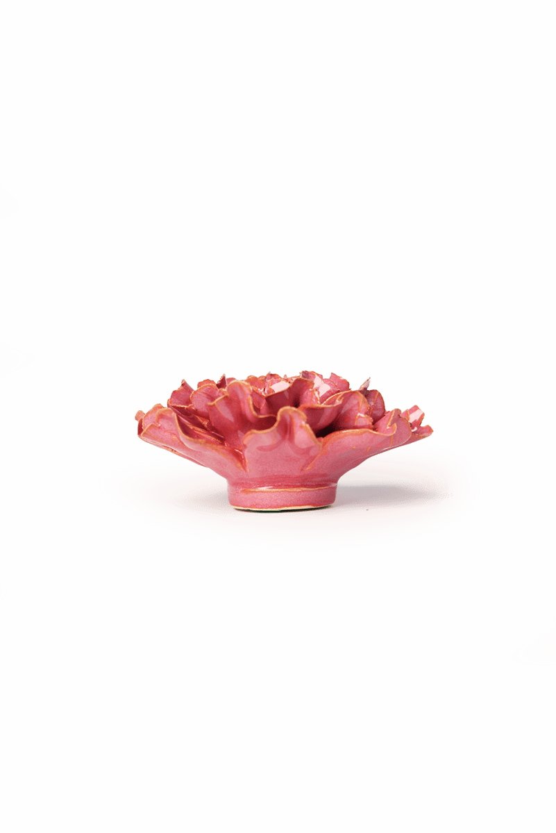 FR36 Blush Pink Tundra Carnation - Chive US Wholesale