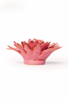 FR37 Blush Pink Strawflower - Chive US Wholesale