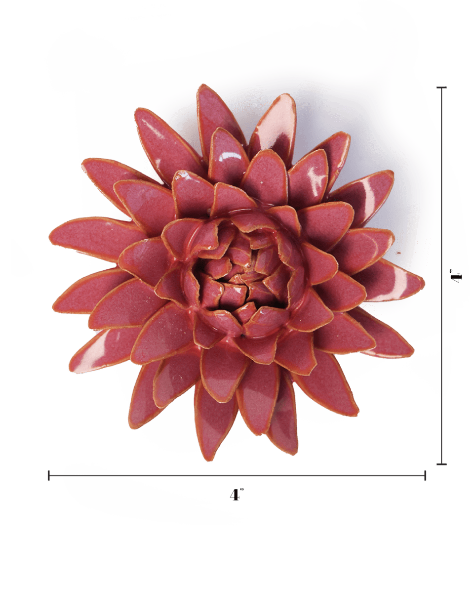 FR37 Blush Pink Strawflower - Chive US Wholesale