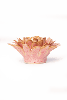 FR38 Rose Quartz Pink Strawflower - Chive US Wholesale