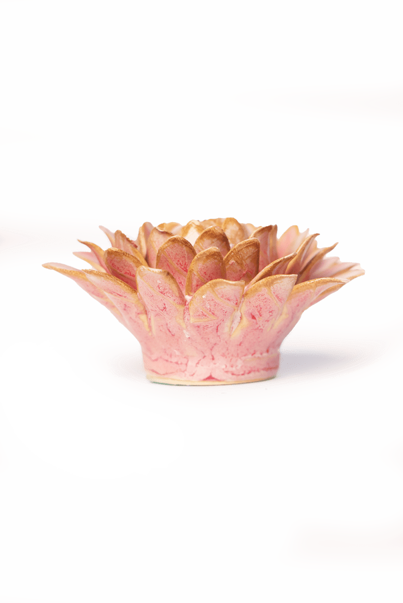 FR38 Rose Quartz Pink Strawflower - Chive US Wholesale