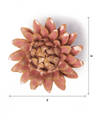 FR38 Rose Quartz Pink Strawflower - Chive US Wholesale