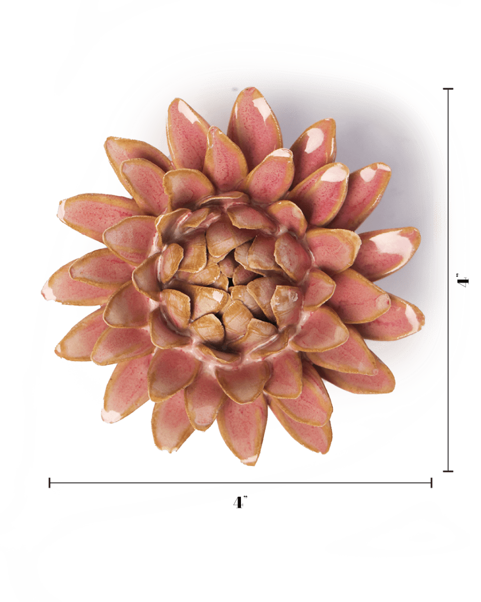 FR38 Rose Quartz Pink Strawflower - Chive US Wholesale