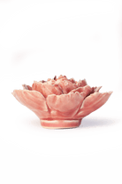 FR39 Champagne Pink English Rose - Chive US Wholesale