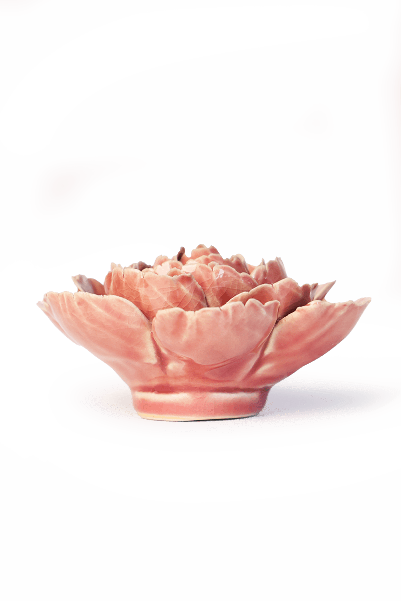 FR39 Champagne Pink English Rose - Chive US Wholesale