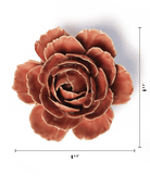 FR39 Champagne Pink English Rose - Chive US Wholesale