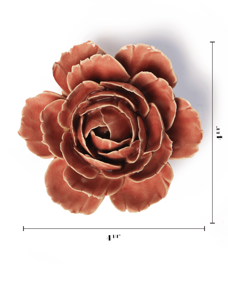 FR39 Champagne Pink English Rose - Chive US Wholesale