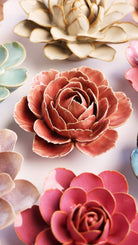 FR39 Champagne Pink English Rose - Chive US Wholesale