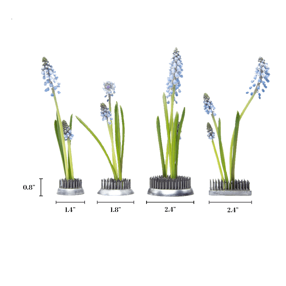 Kenzan Metal Floral Frogs For Ikebana - Chive US Wholesale