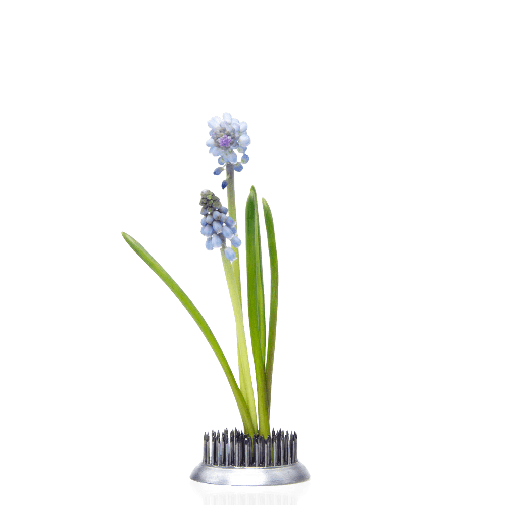 Kenzan Metal Floral Frogs For Ikebana - Chive US Wholesale