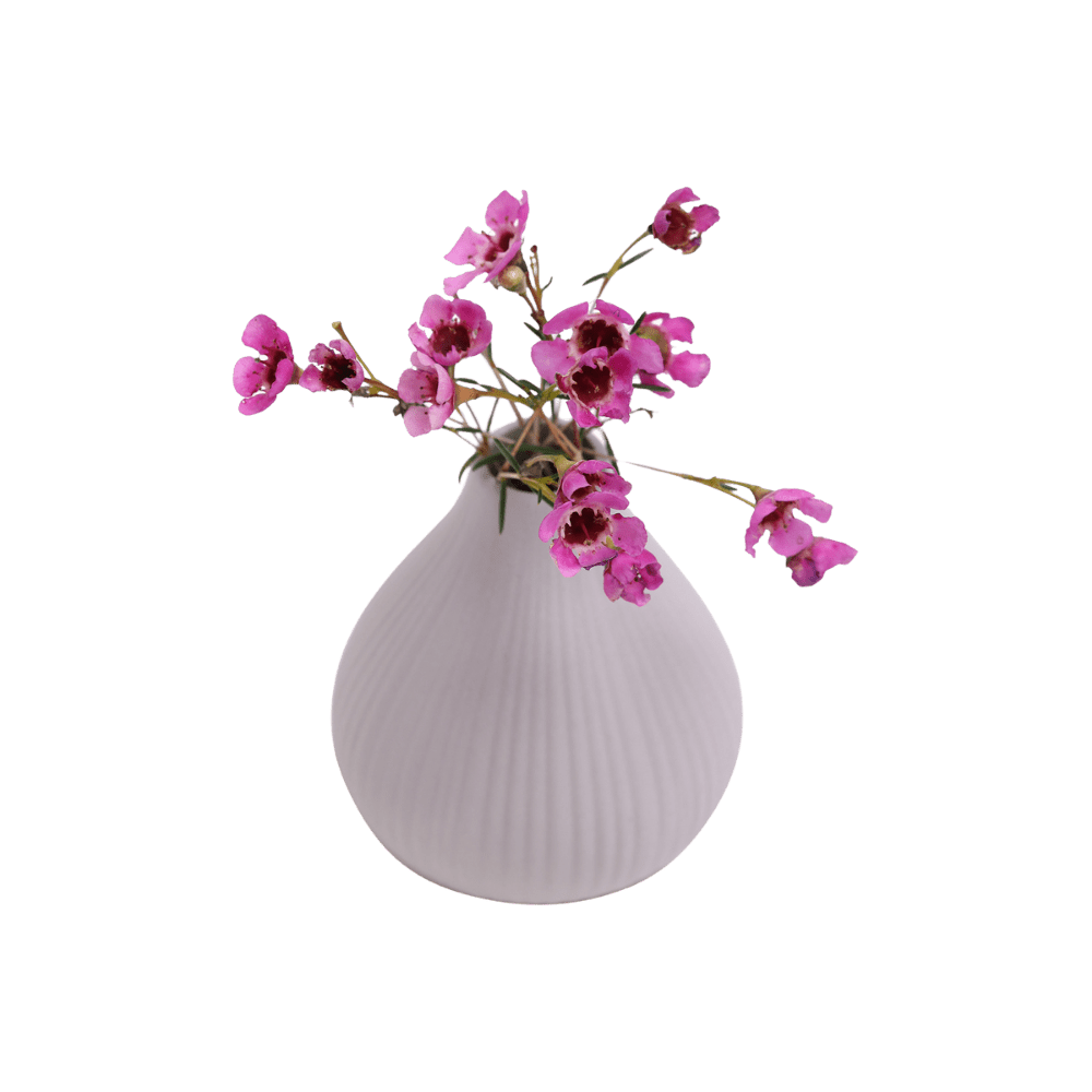 Frost Porcelain Bud Vase For Flowers - Chive US Wholesale