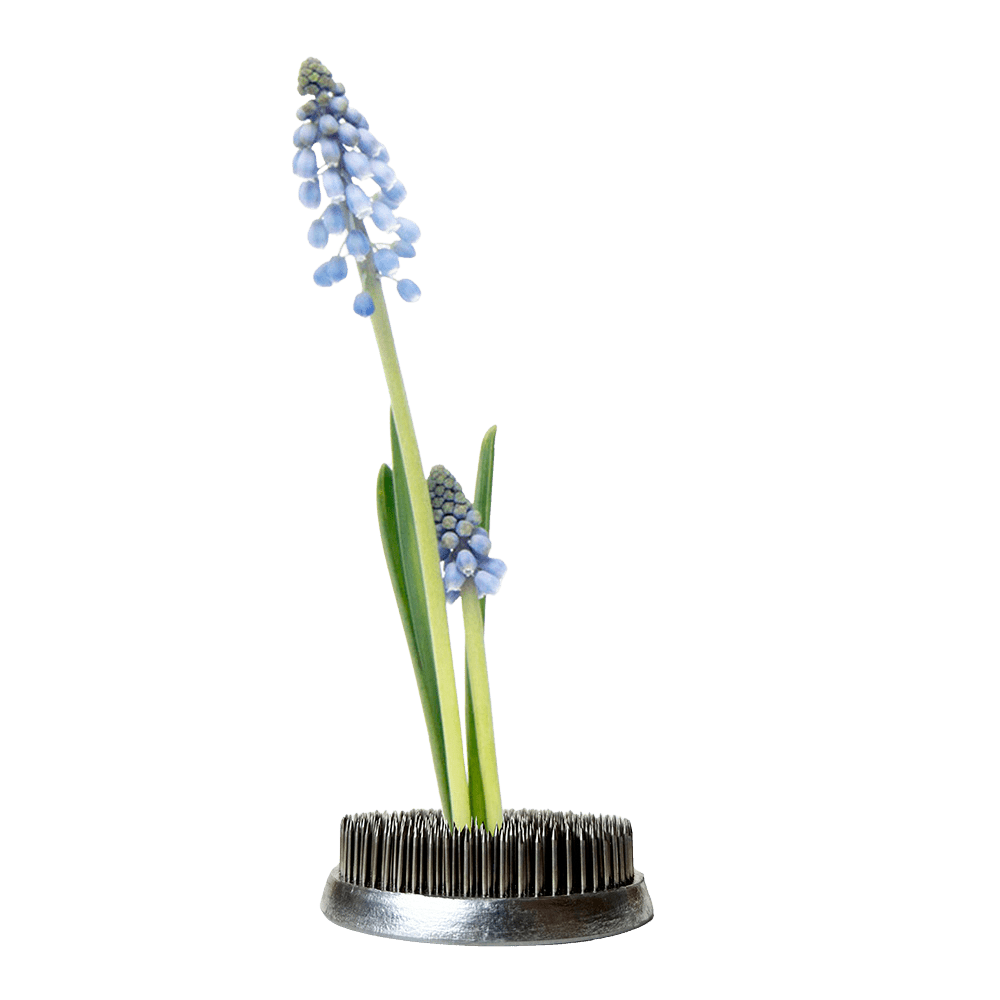 Kenzan Metal Floral Frogs For Ikebana - Chive US Wholesale