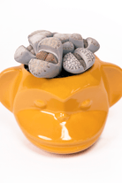 Funky Monkey Planter - Chive US Wholesale