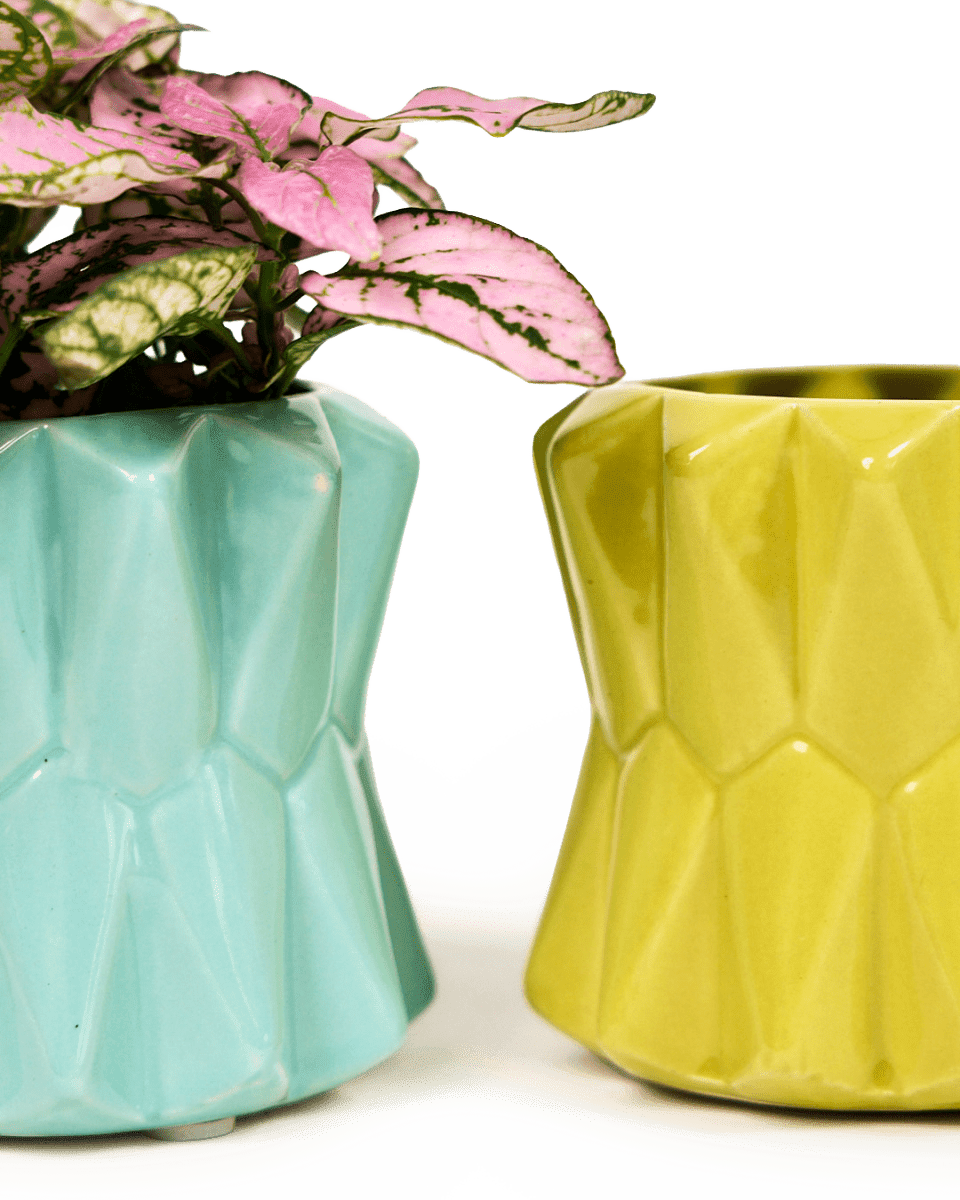 Fang Ceramic Modern Planter For Succulents - Chive US Wholesale