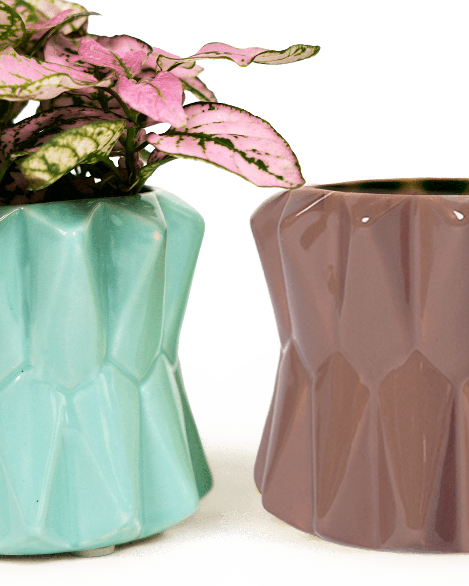 Fang Ceramic Modern Planter For Succulents - Chive US Wholesale