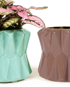 Fang Ceramic Modern Planter For Succulents - Chive US Wholesale