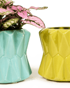Fang Ceramic Modern Planter For Succulents - Chive US Wholesale