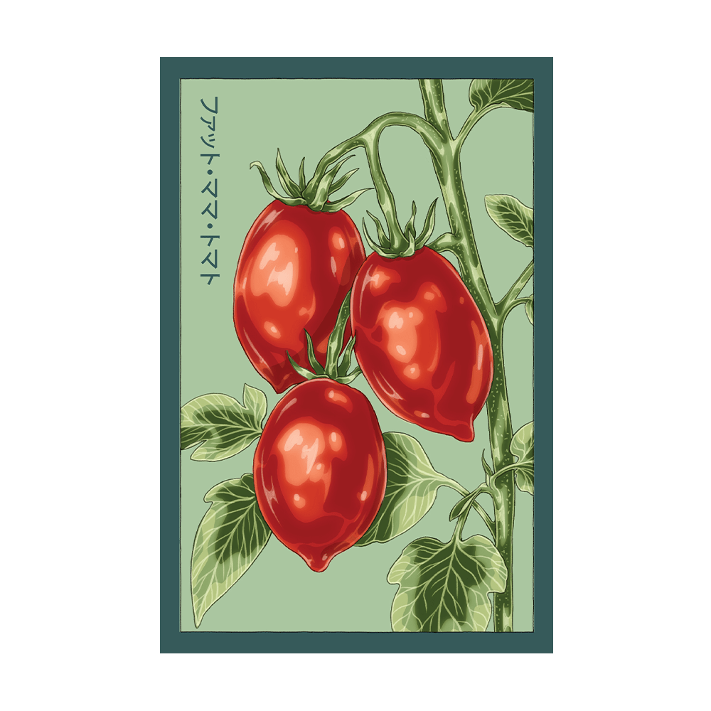 Fat Mama Tomato Vegetable Seeds Packet - Chive US Wholesale