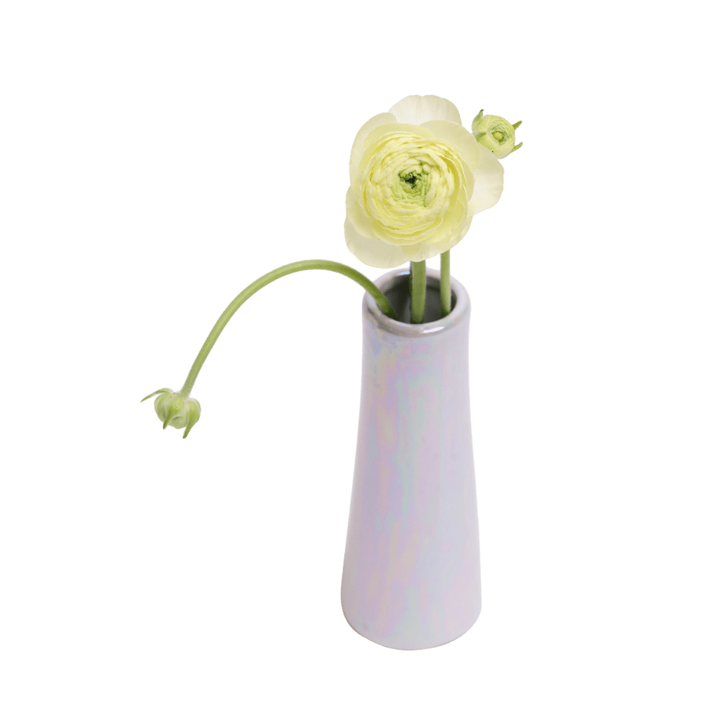 Galaxy Ceramic Bud Vase For Flowers - Chive US Wholesale