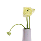 Galaxy Ceramic Bud Vase For Flowers - Chive US Wholesale